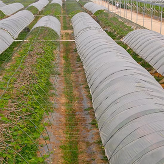 농업용 조경 직물용 PP 스펀 보세 부직포
